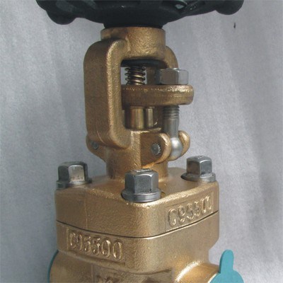 Bronze Globe Valve